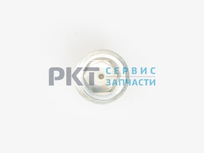 31029-1701098 Пробка картера КПП-5 сливная магнитная ГАЗель, Волга (2)